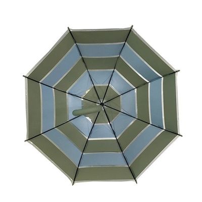 투명한 돔 형태 포는 소형 우산을 속입니다