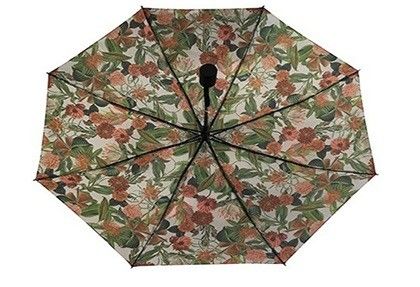 여행을 위한 여자들 견주 자동 접식 우산